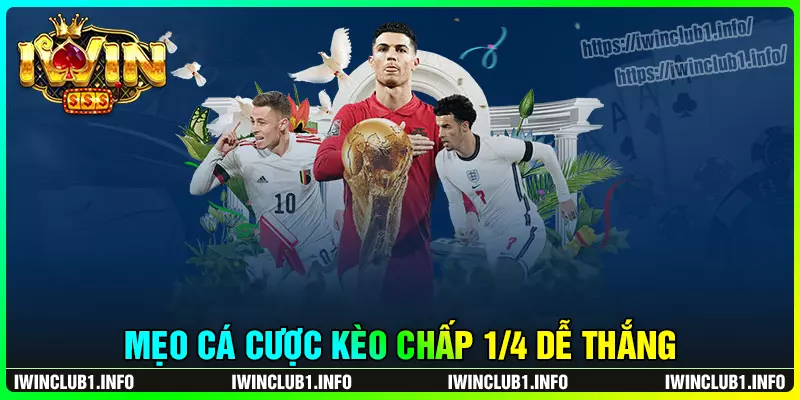 Kinh nghiệm chơi kèo chấp 1/4 dễ thắng từ chuyên gia
