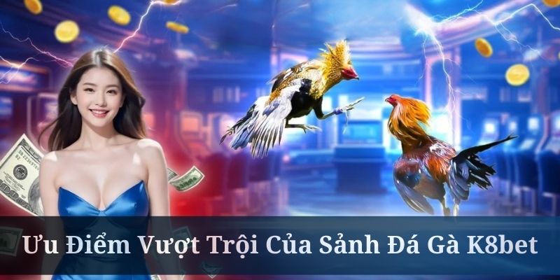 Đá gà K8BET có hệ thống bảo mật siêu tối tân