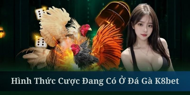 Tổng hợp hình thức cược được yêu thích nhất ở đá gà K8BET