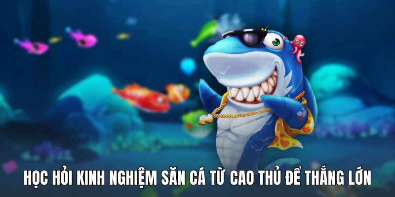 hoc-hoi-kinh-nghiem-san-ca-tu-cao-thu-de-thang-lon